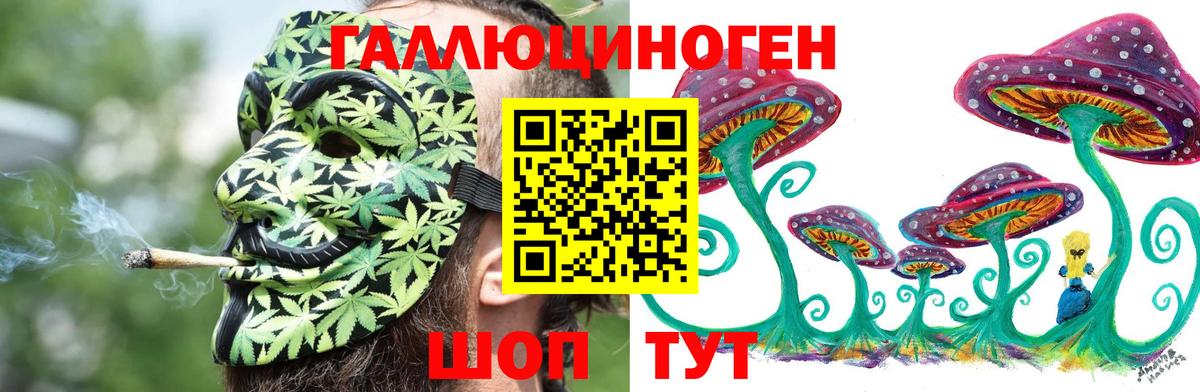 Галлюциногенные грибы GOLDEN TEACHER  Вход с VPN  Биробиджан 