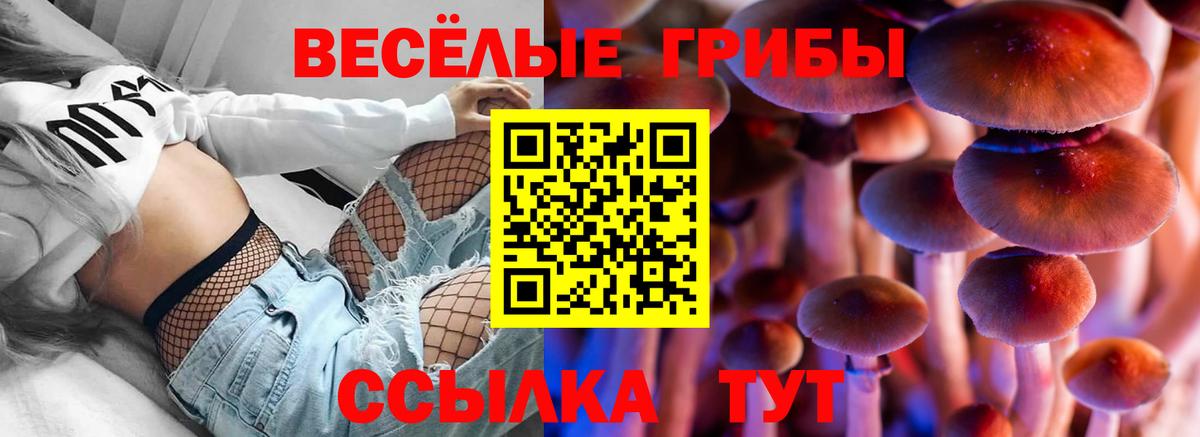 Галлюциногенные грибы мицелий Биробиджан